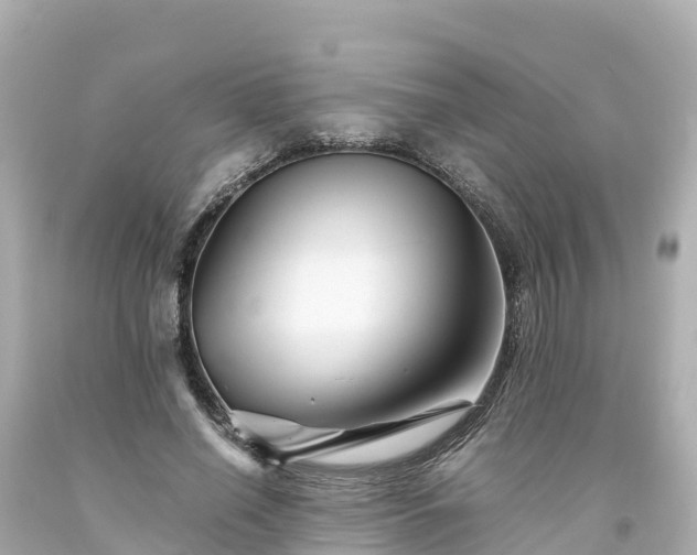 X0000094200638200711021052
