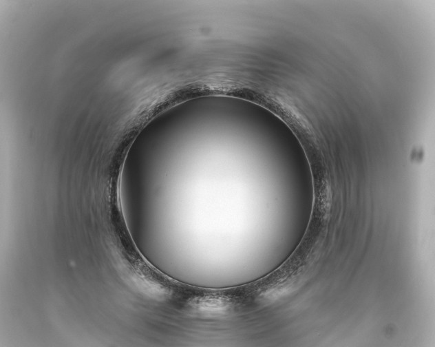 X0000094200639200711021052