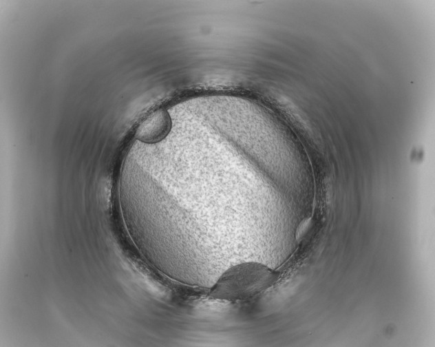 X0000094200640200711021052