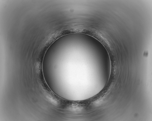 X0000094200641200711021052