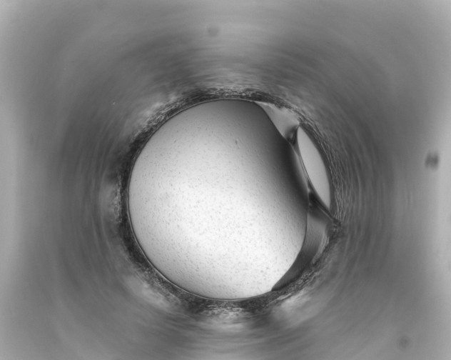 X0000094200642200711021052
