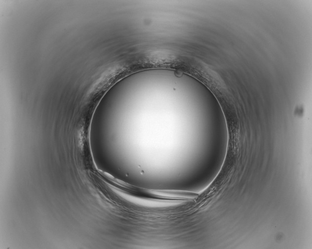 X0000094200644200711021052