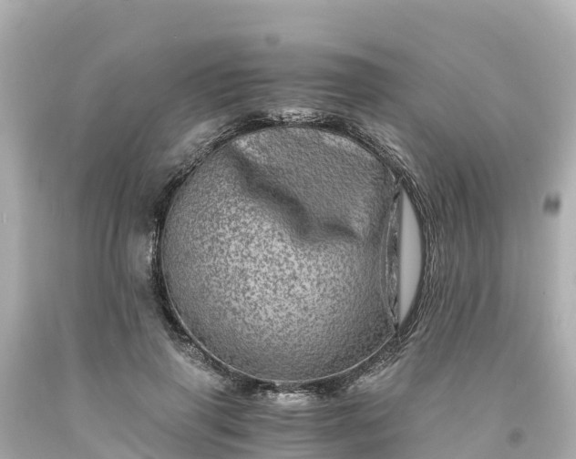 X0000094200645200711021052