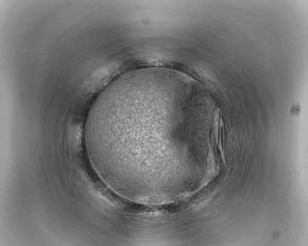 X0000094200646200711021052