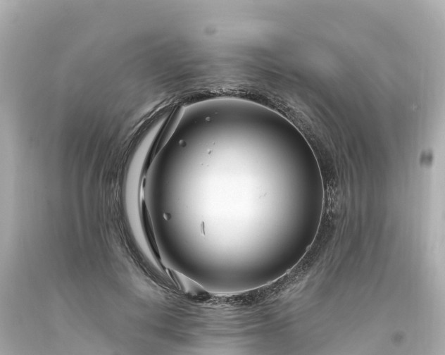 X0000094200648200711021052