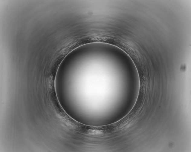 X0000094200649200711021052