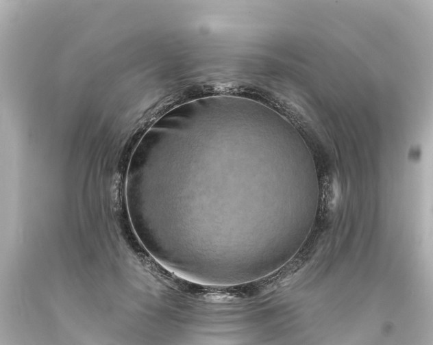 X0000094200650200711021052