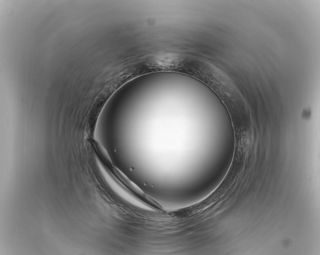 X0000094200651200711021052