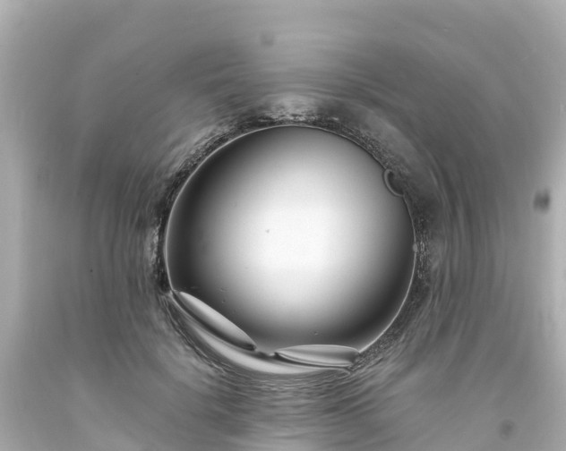 X0000094200652200711021053