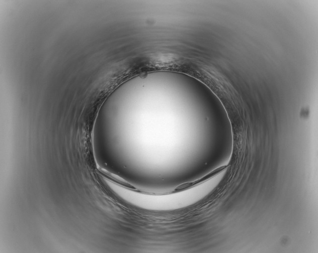 X0000094200653200711021053