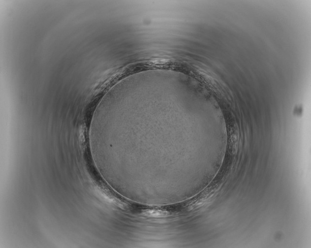 X0000094200654200711021053