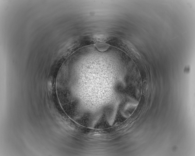 X0000094200655200711021053