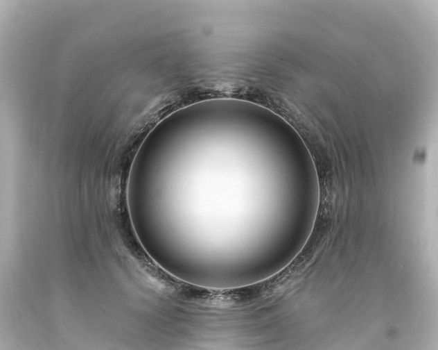 X0000094200656200711021053