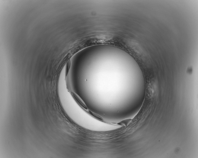 X0000094200657200711021053