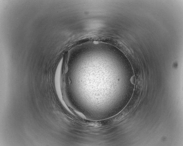 X0000094200659200711021053