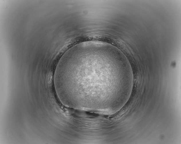 X0000094200660200711021053