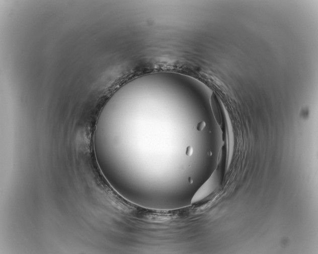 X0000094200661200711021053