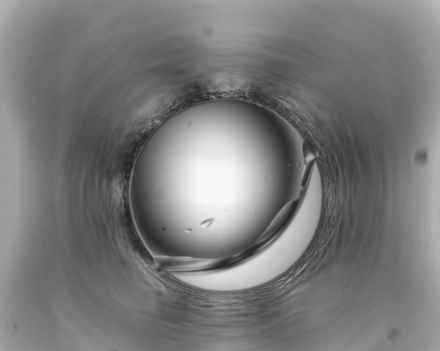 X0000094200662200711021053