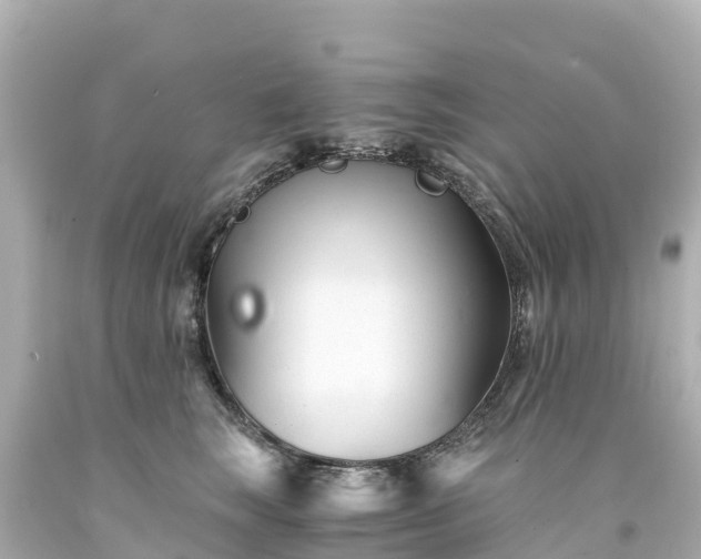 X0000094200663200711021053