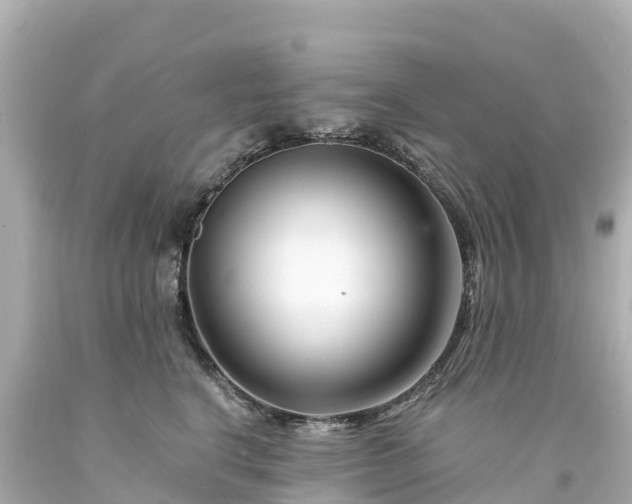 X0000094200664200711021053
