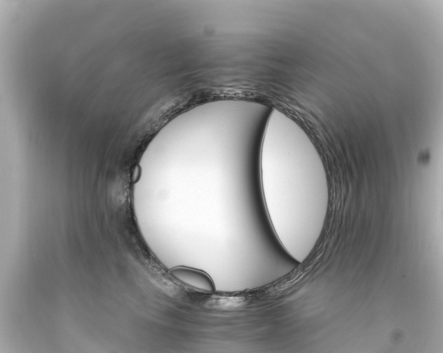 X0000094200665200711021053