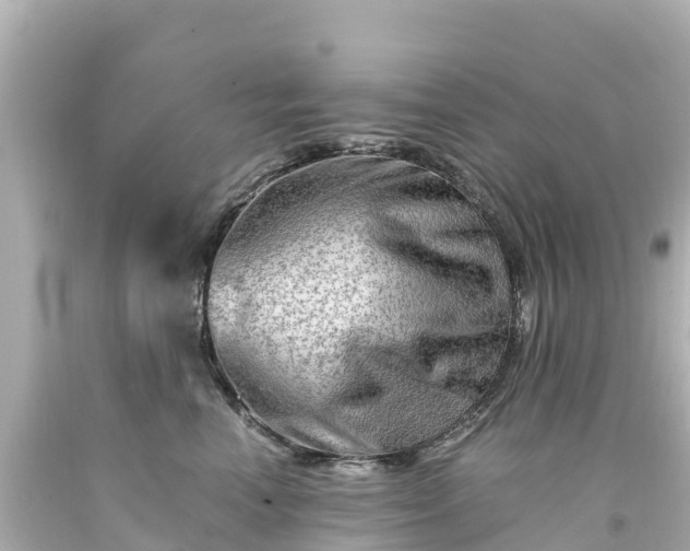 X0000094200666200711021053