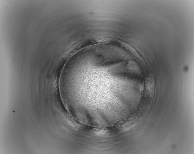 X0000094200667200711021053