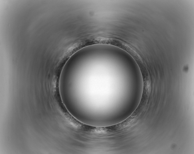 X0000094200668200711021053