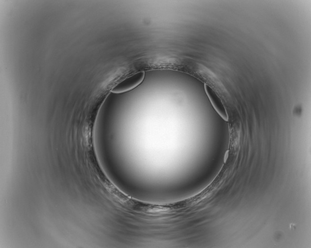 X0000094200669200711021053