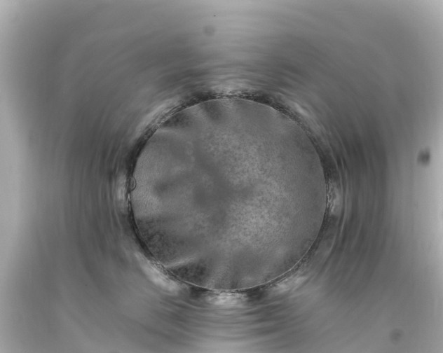 X0000094200670200711021053