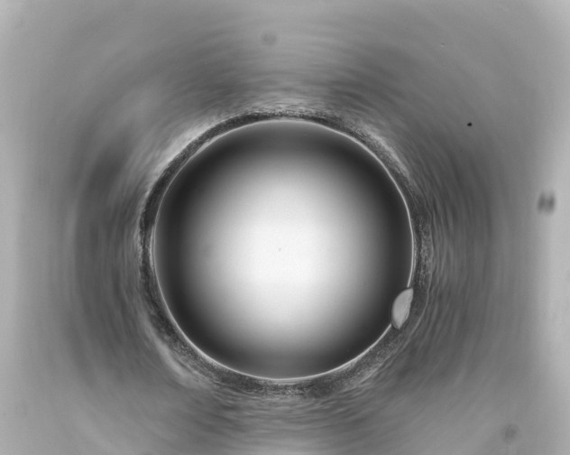 X0000094200674200711021052