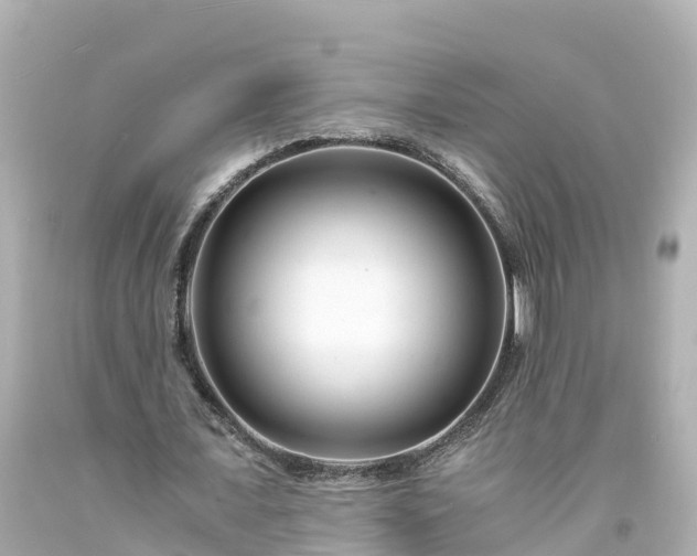X0000094200675200711021052