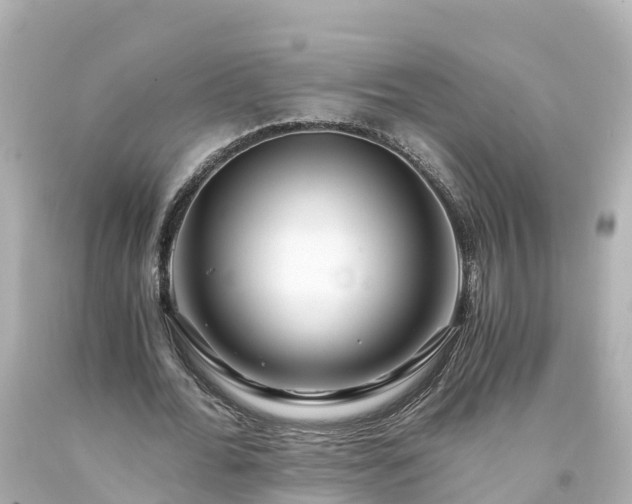 X0000094200676200711021052