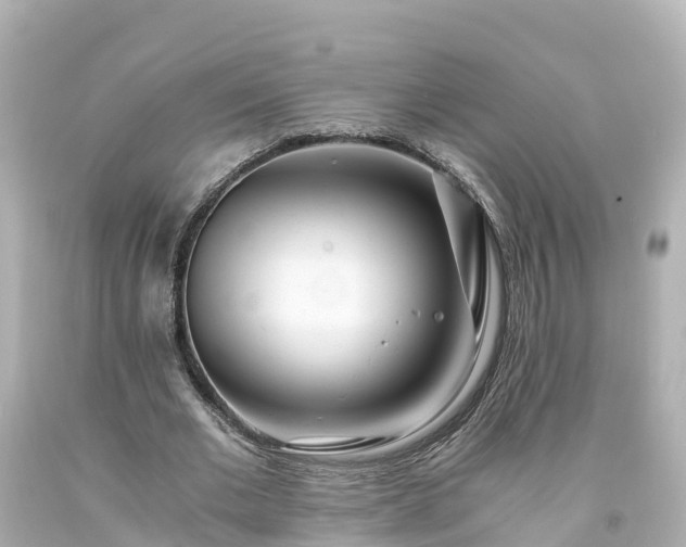 X0000094200677200711021052