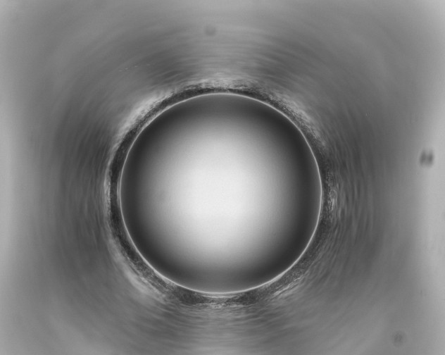 X0000094200678200711021052