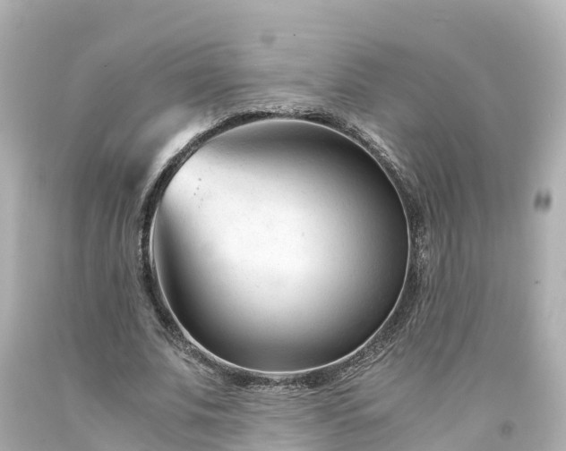 X0000094200679200711021052