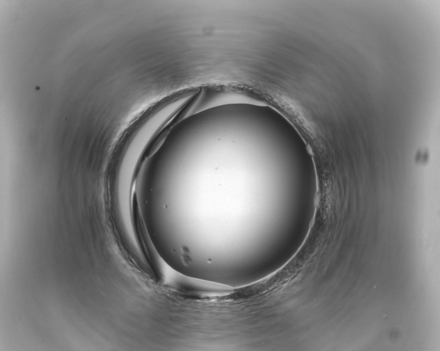 X0000094200680200711021052