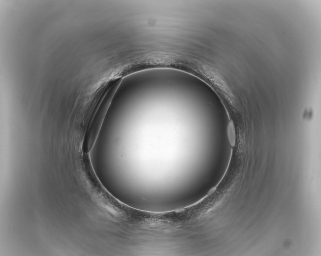 X0000094200681200711021052