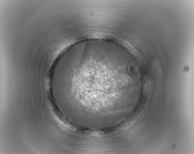 X0000094200683200711021052