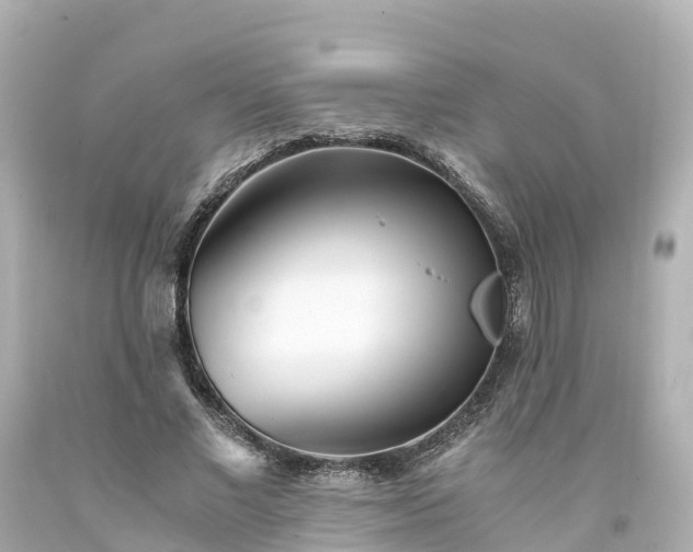 X0000094200685200711021052