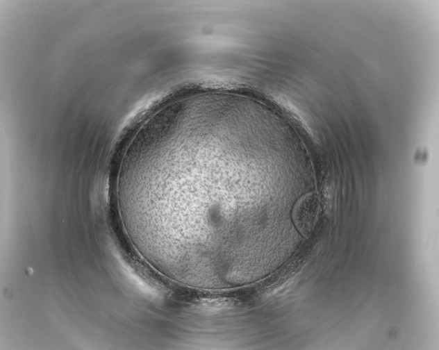 X0000094200686200711021052