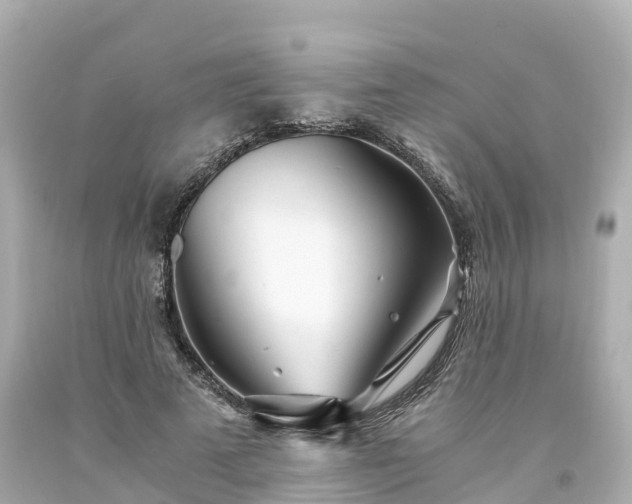 X0000094200689200711021052