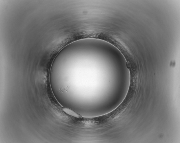X0000094200693200711021052