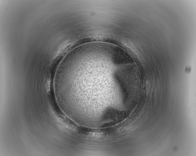 X0000094200694200711021052