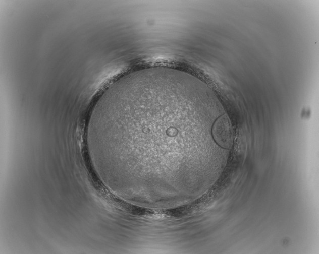 X0000094200695200711021052