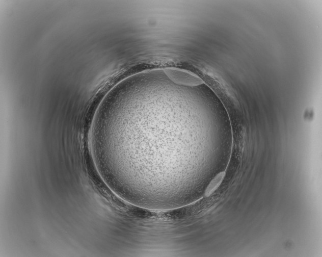 X0000094200696200711021052