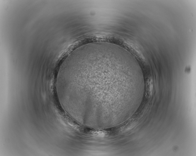 X0000094200698200711021052