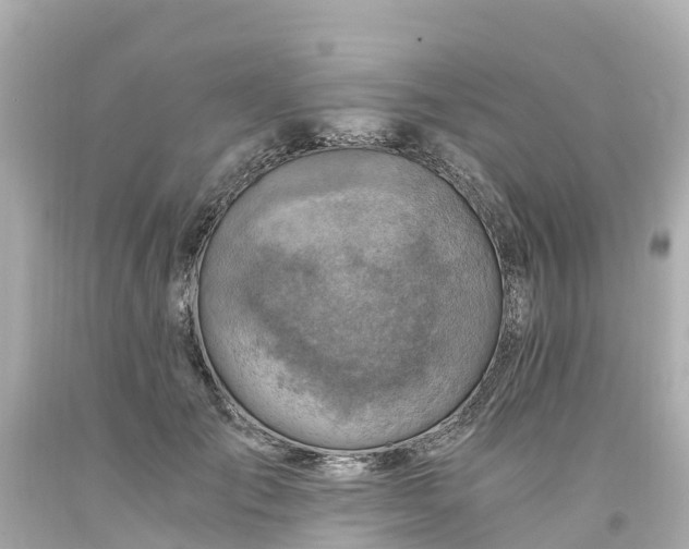 X0000094200701200711021052