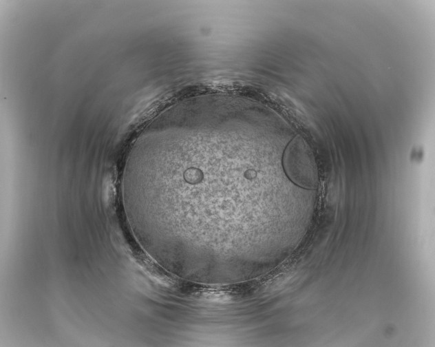 X0000094200702200711021052