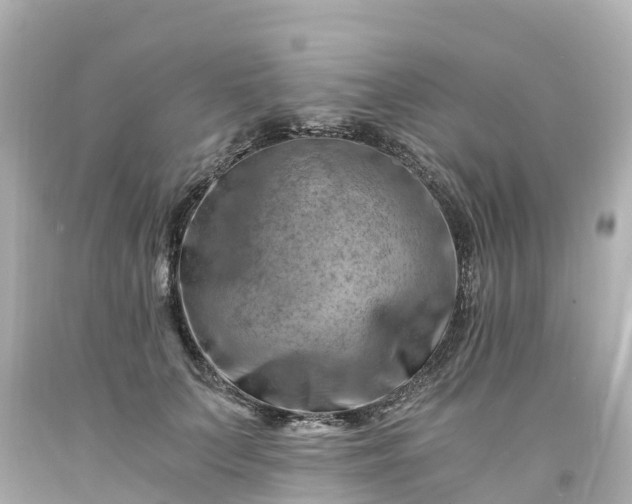 X0000094200703200711021052